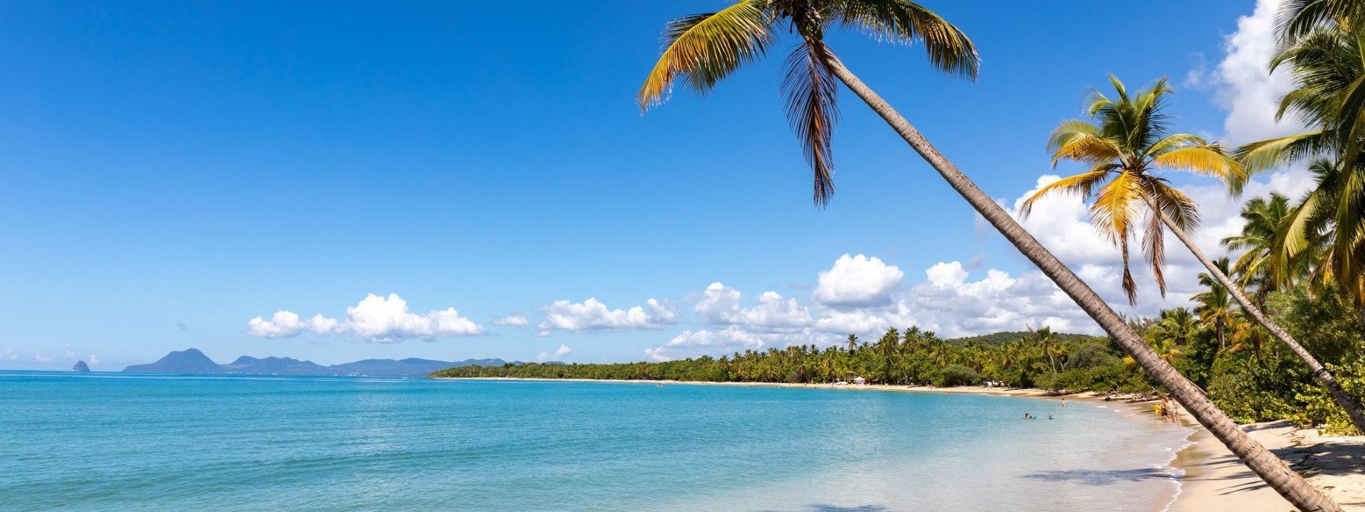 MyU Next - Martinique